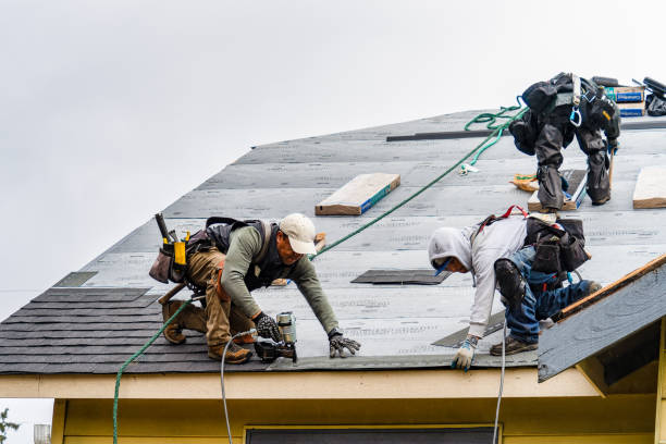 Professional Storm Damage Roof Repair technician working in Rose Creek, MN